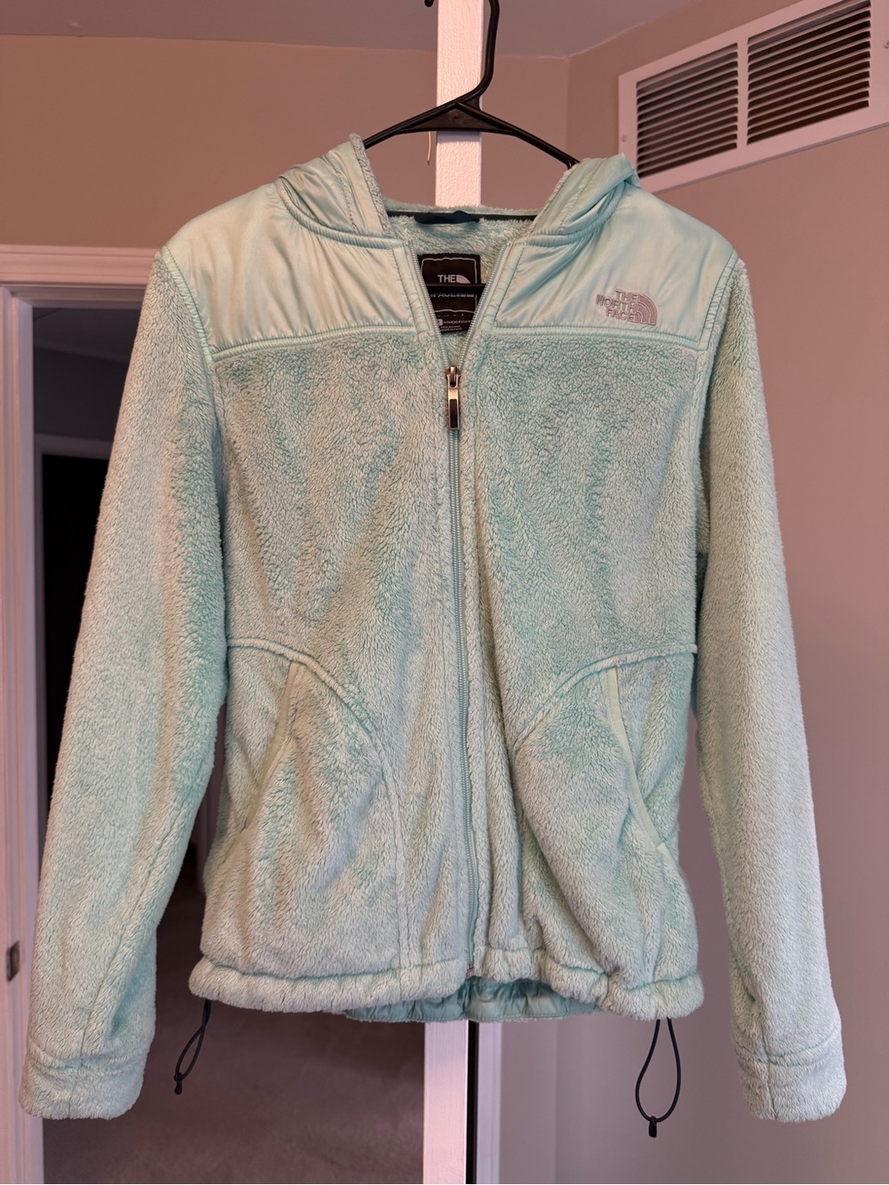 The North Face Mint Sherpa Fleece Zip Jacket